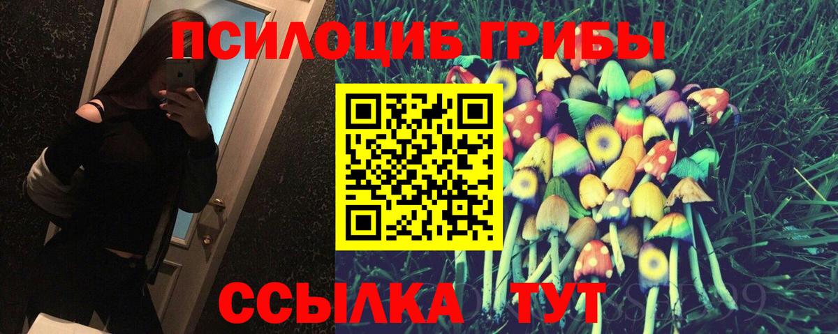 Галлюциногенные грибы Psilocybe  Псилоцибиновые грибы прущие грибы  купить  цена  Карталы  Вход с VPN 
